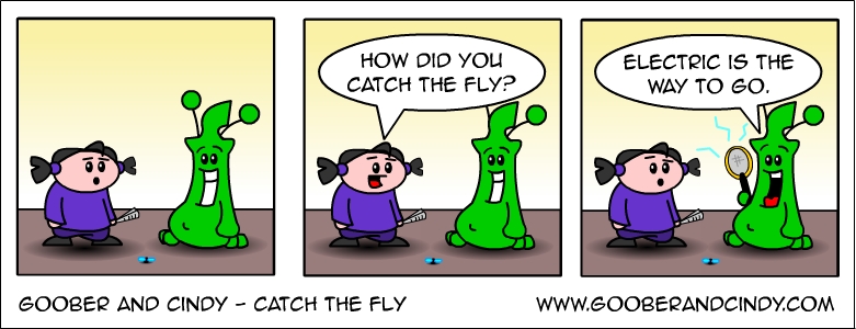 catch-the-fly