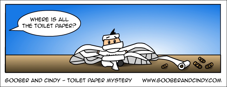 Toilet paper mystery